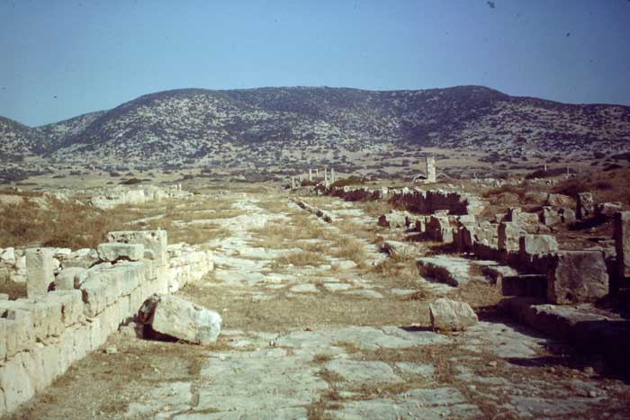 Ptolemais: the East Avenue looking north, towards the Jebel el-Akhdar range